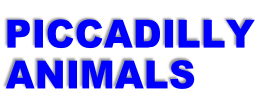 PICCADILLY
